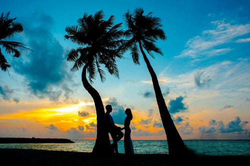 Silhouette d’un couple sous les palmiers au coucher du soleil