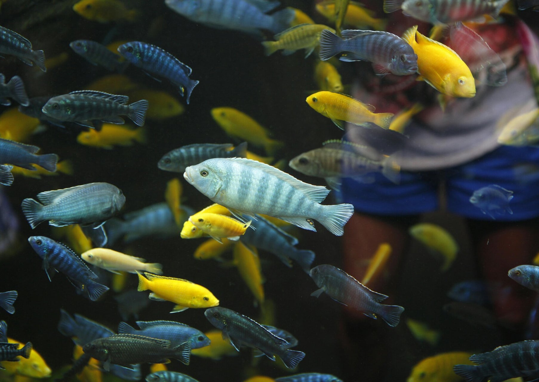 Explained: The Nitrogen Cycle