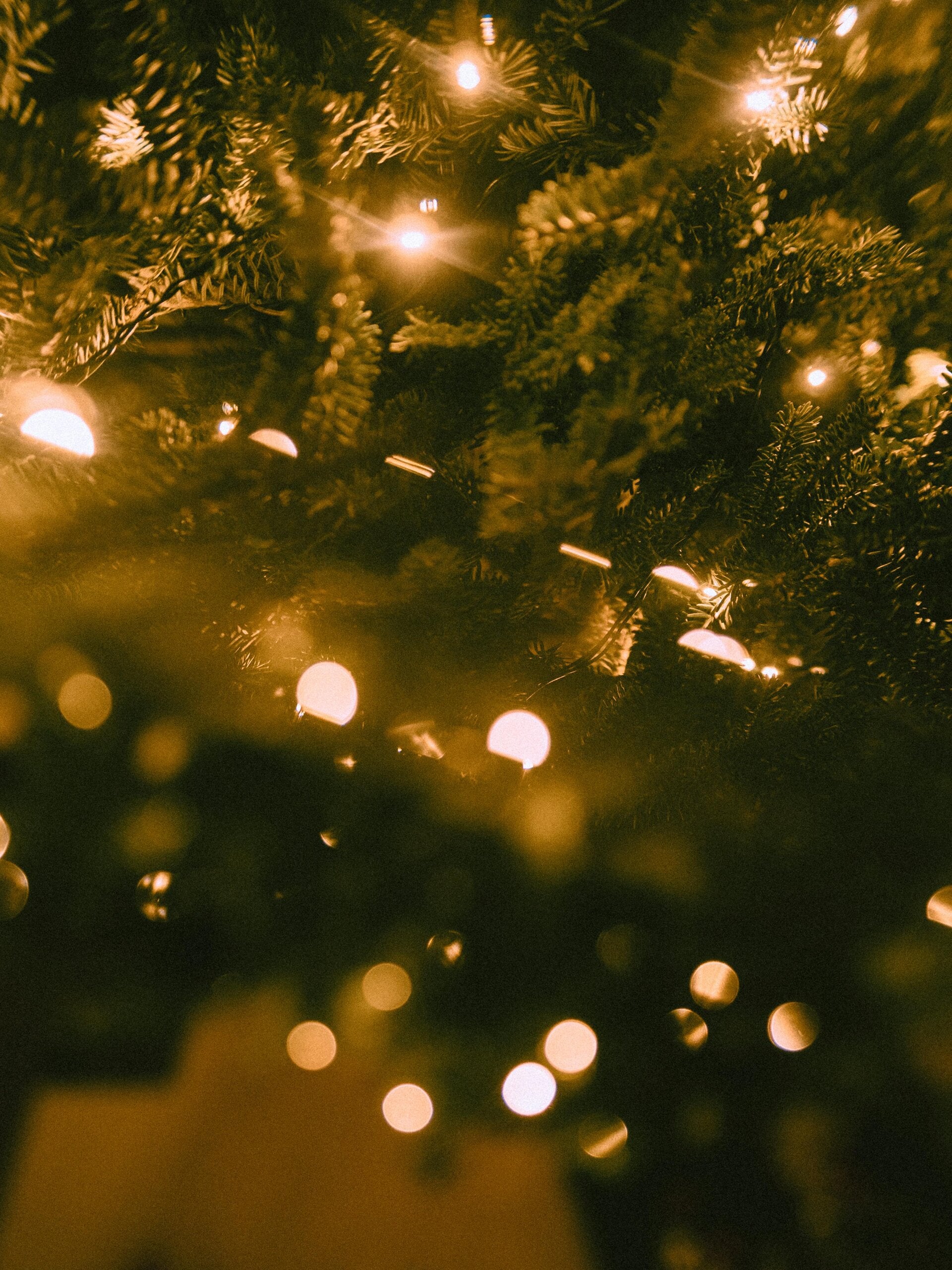 Tip om je in december beter dan ooit te voelen.