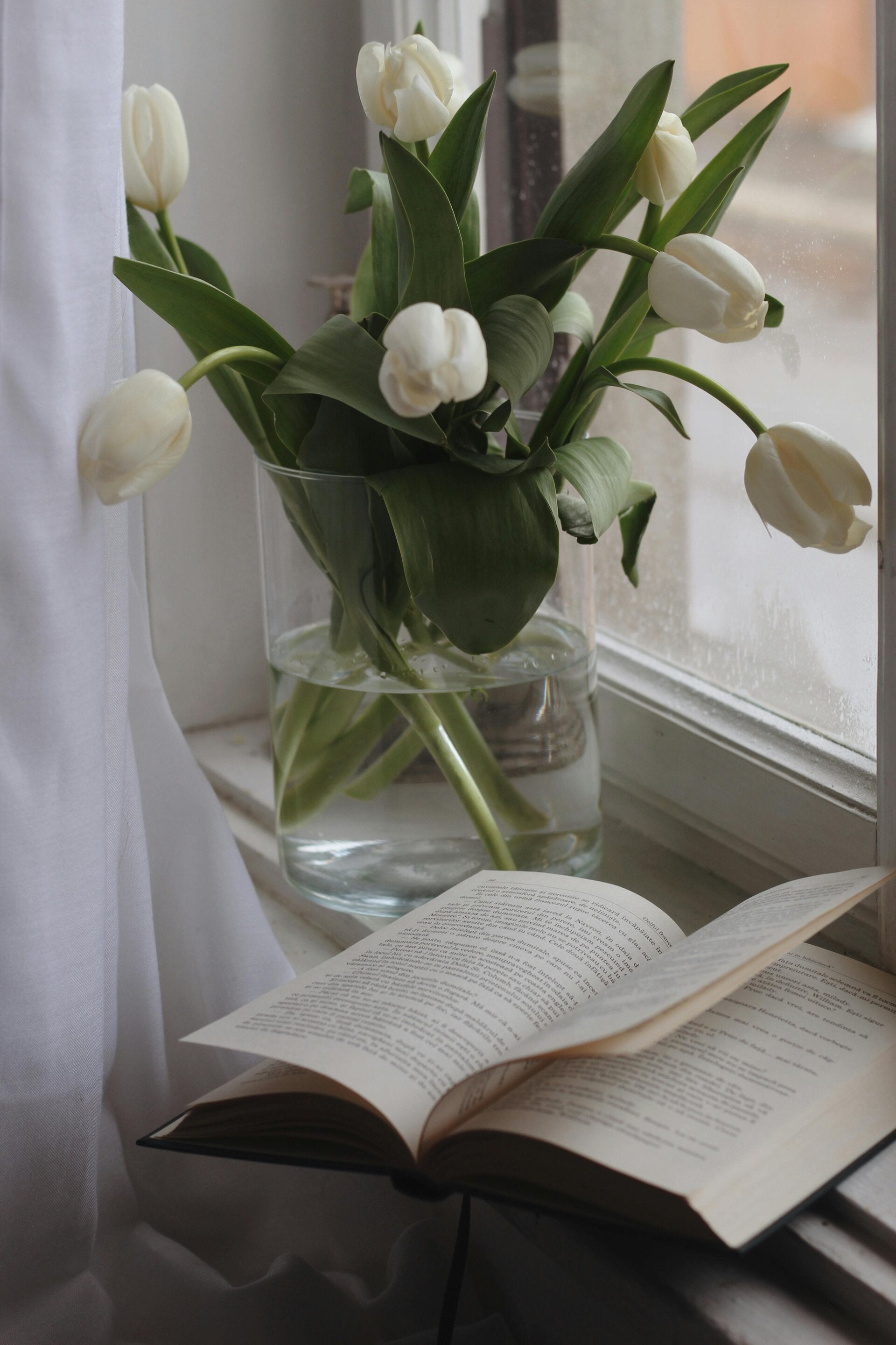 Ontdek de top 10 boeken voor persoonlijke groei en zelfontwikkeling. 