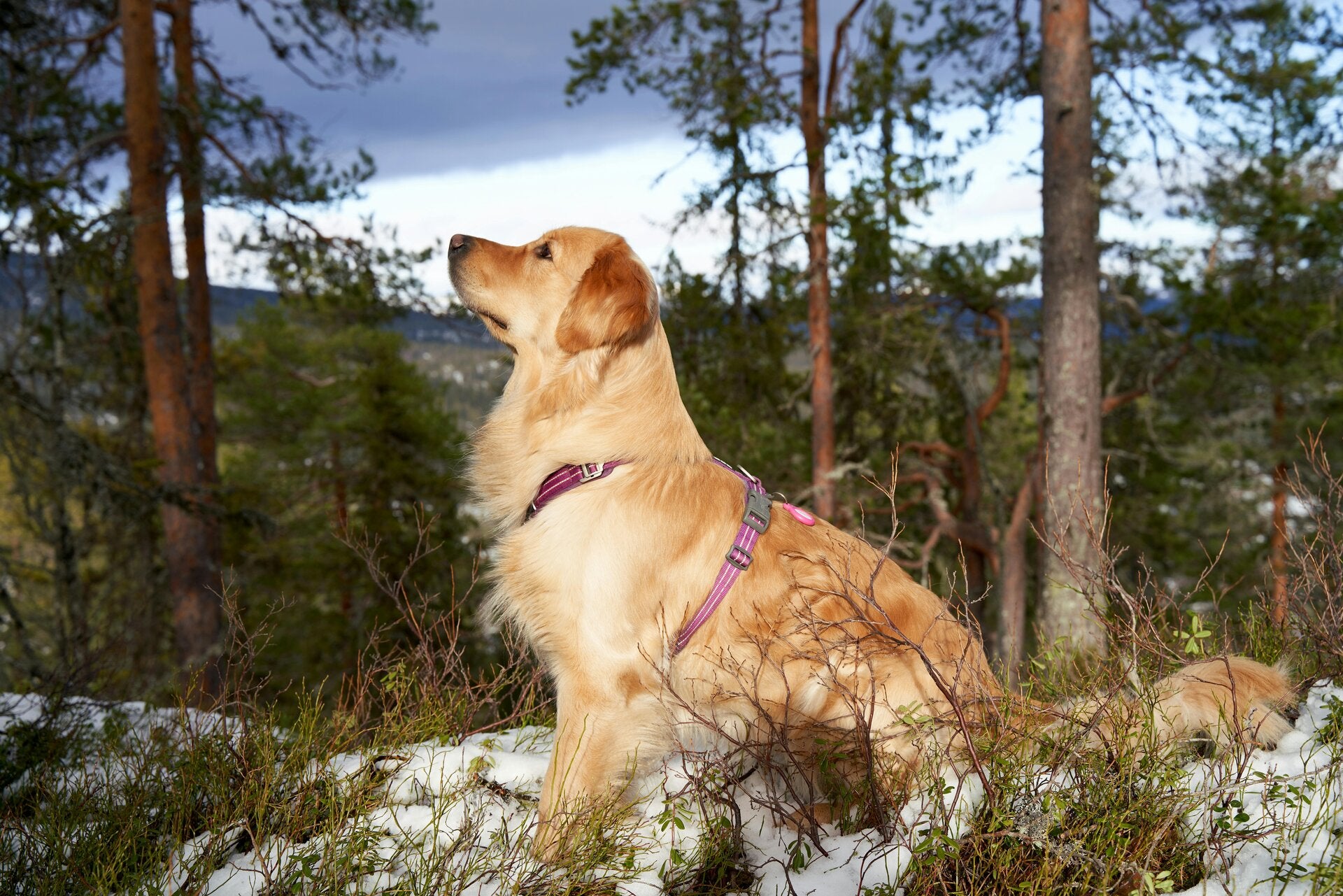 Ondergrond snuffelwandeling
