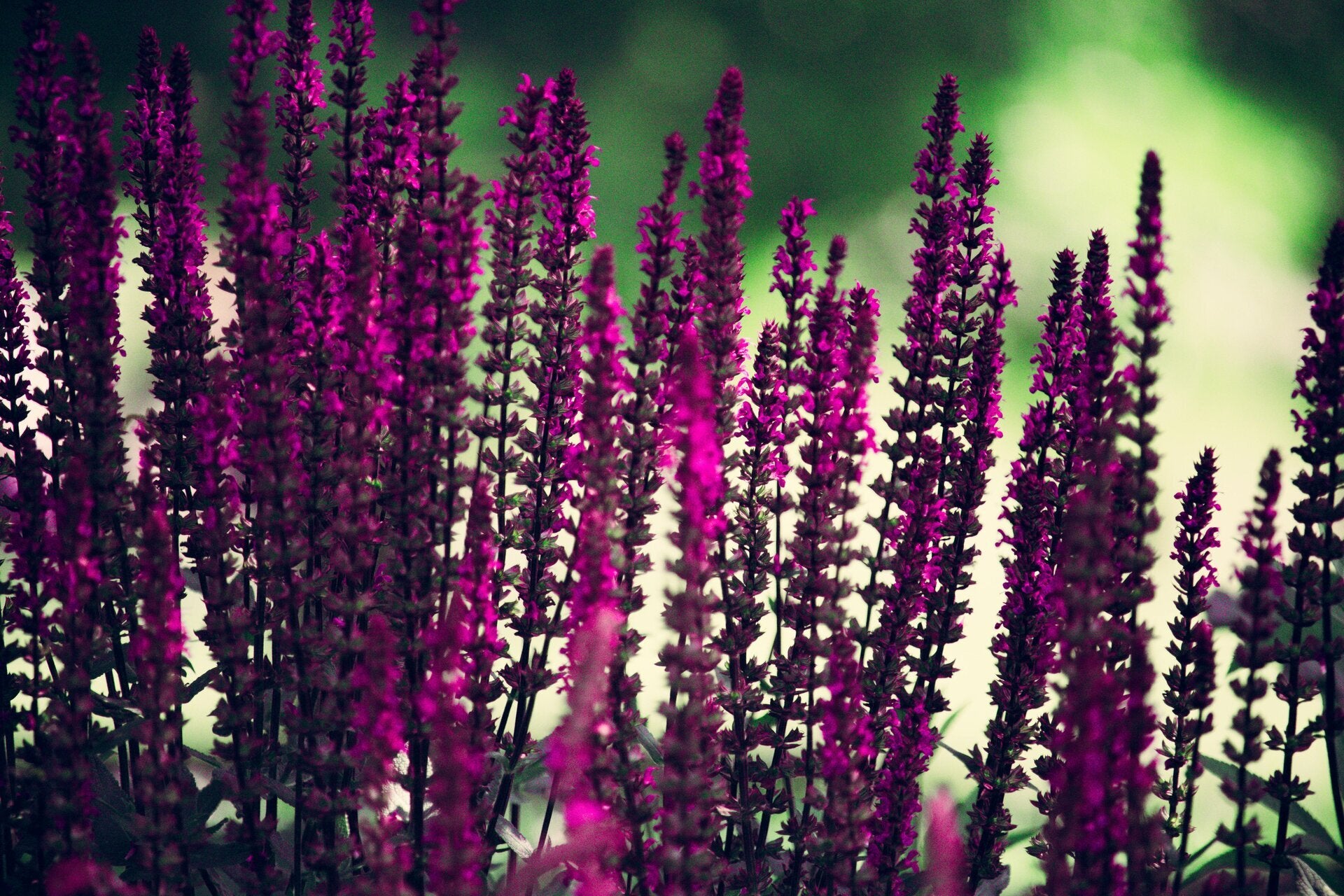 Praxis Liebenswert - Coaching für hochsensible Frauen