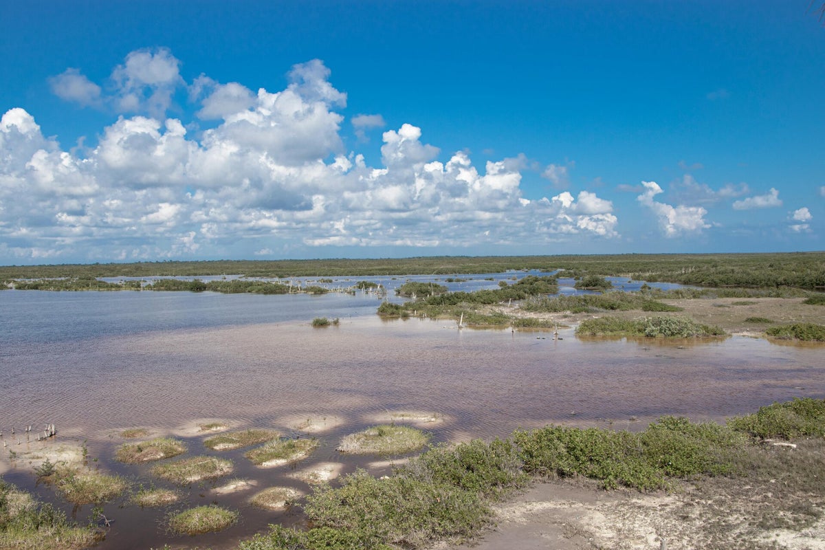 Parque Natural da Ria Formosa, Portugal