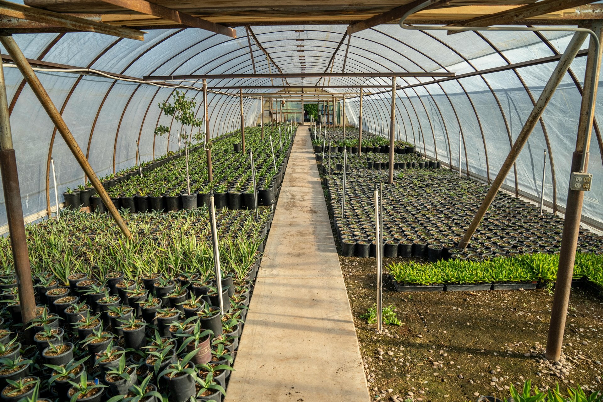 Een grote binnen kas 