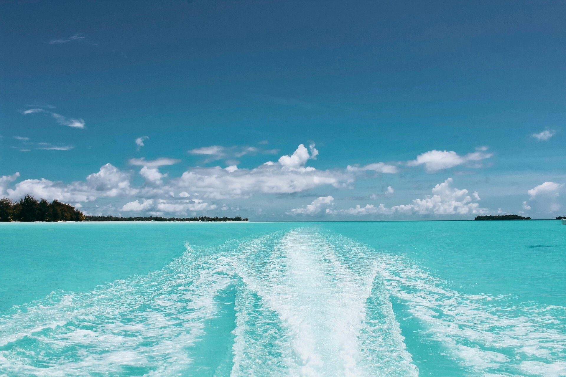 桑给巴尔碧绿的水