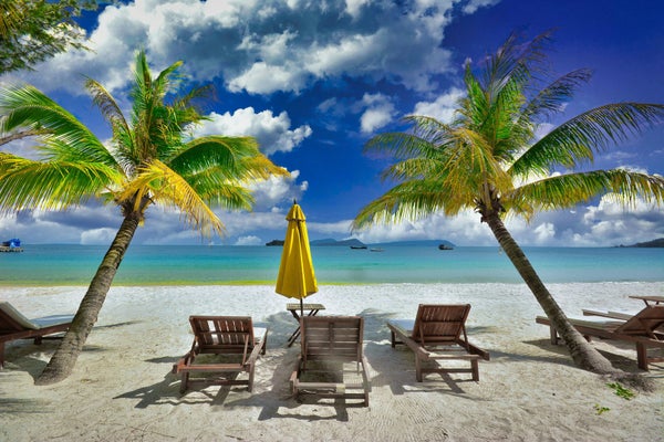Palmiers au-dessus d’une plage de Koh Rong Samloem