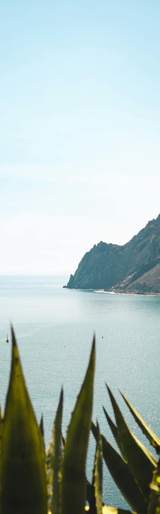come la natura ci ricarica di energia. mare o montagna, quale la scelta migliore?