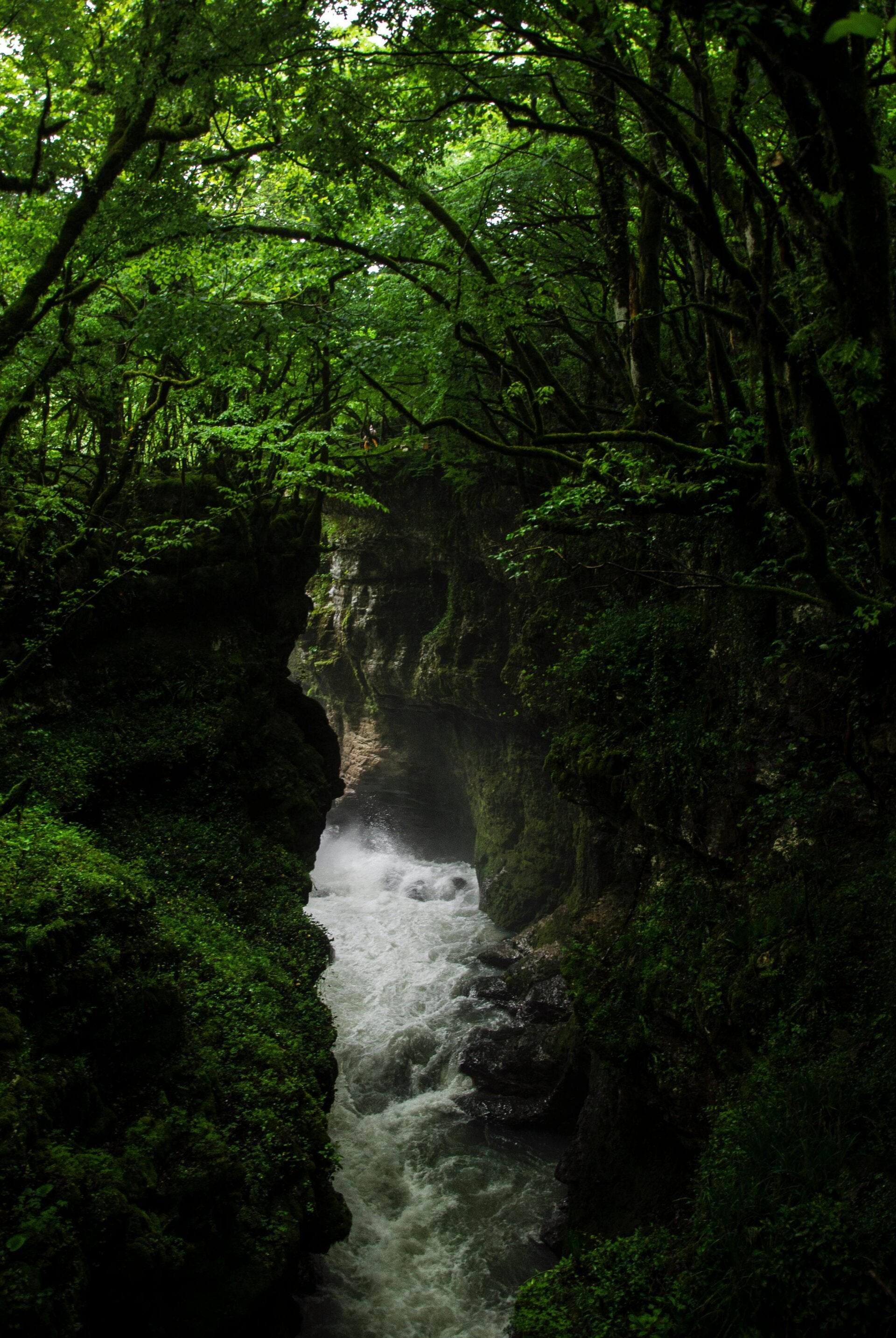 Cours d’eau encaissé entre des rochers