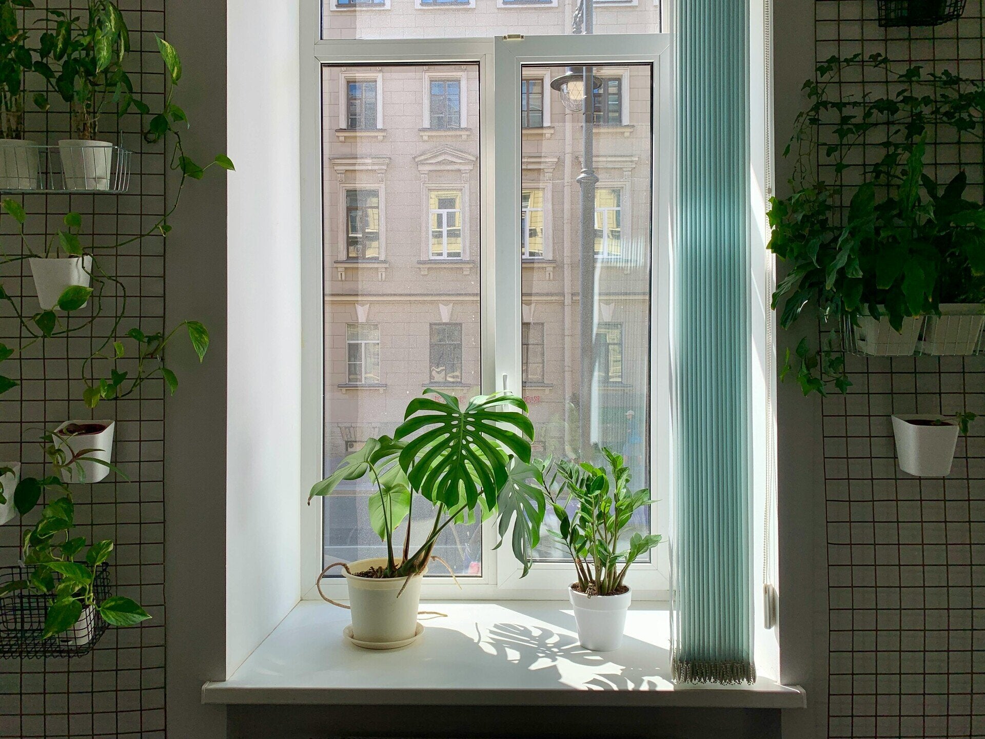 Fensterputzer Privathaushalt