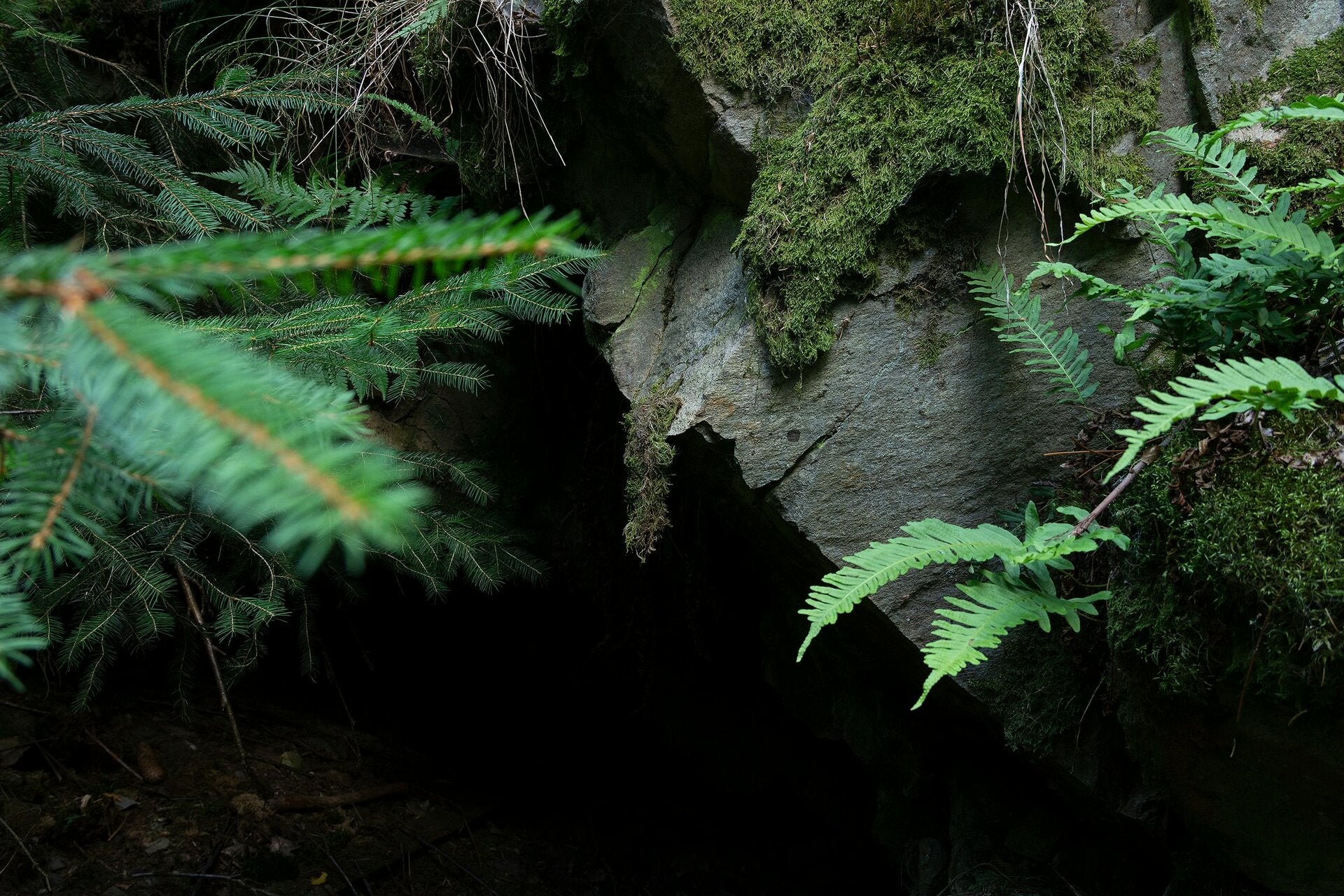Galerie naturelle dans une grotte