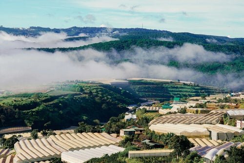 Collines brumeuses des hauts plateaux autour de Da Lat