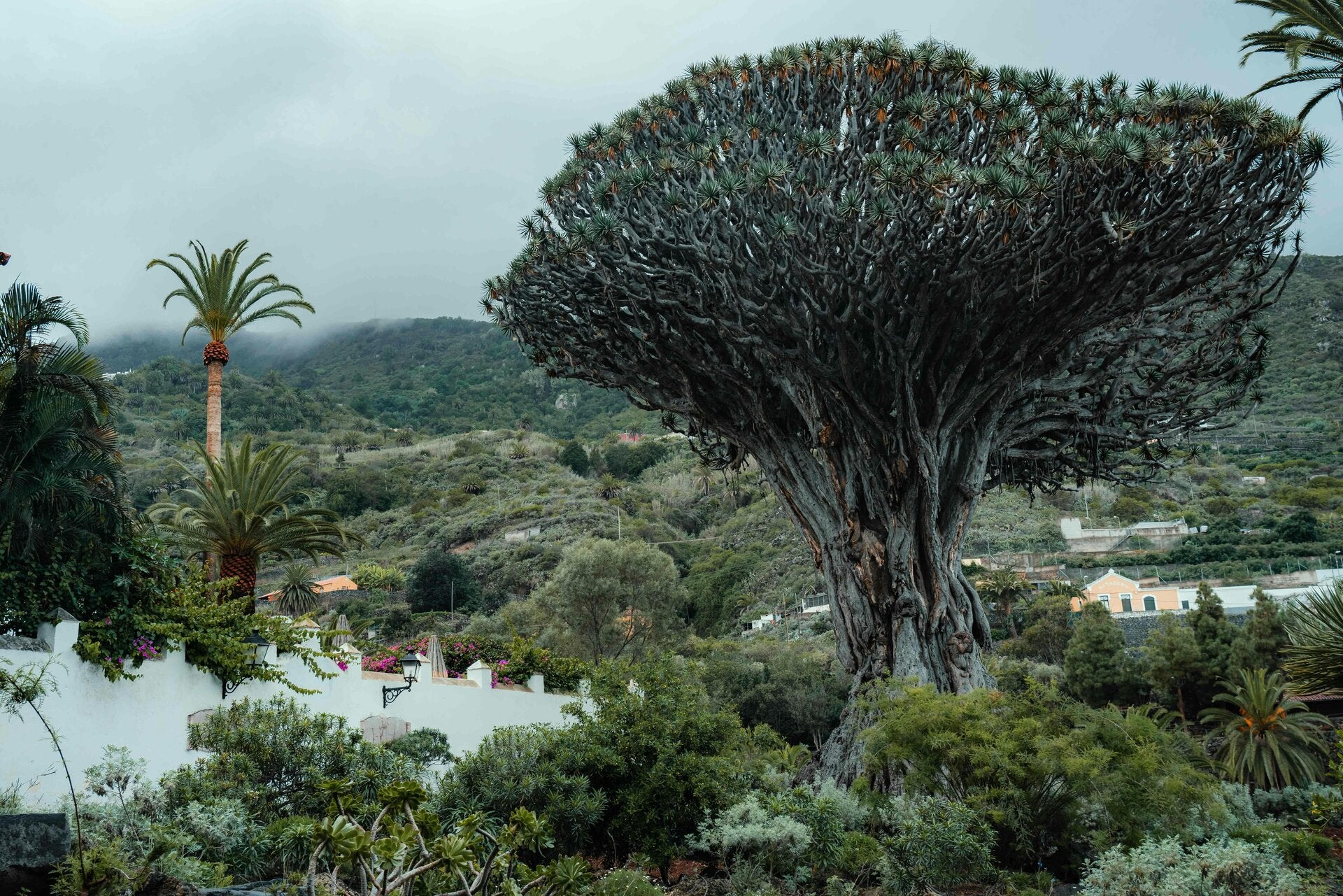 Espacio singular para eventos en Gran Canaria