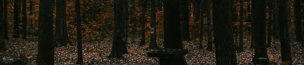 Walking in Yahweh's Guiding Light