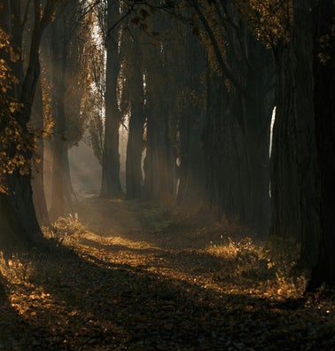 Vollmondritual im Oktober mit Heilsteinen und Räucherwerk – spirituelle Anleitung