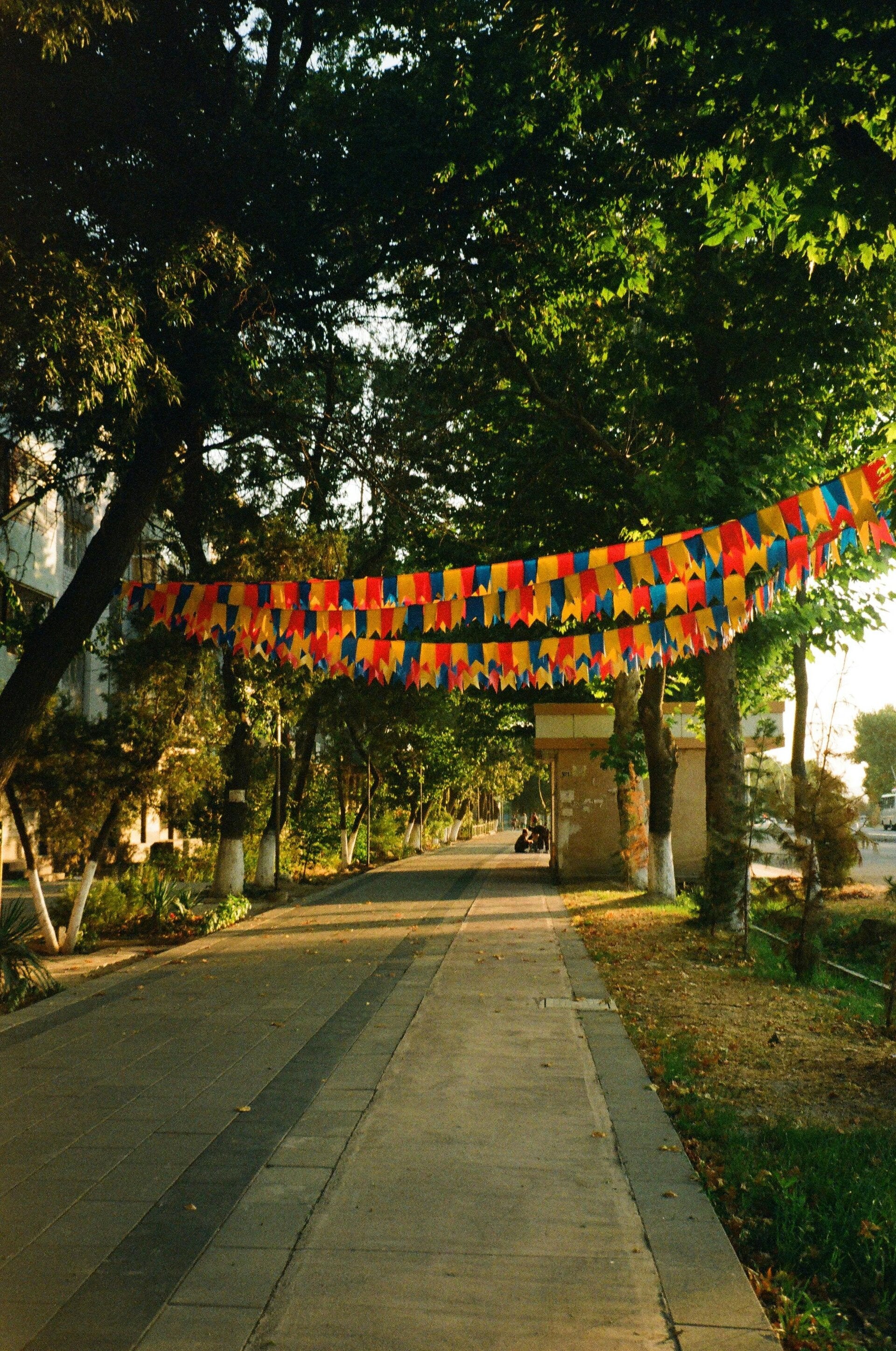 Business banners, event banners