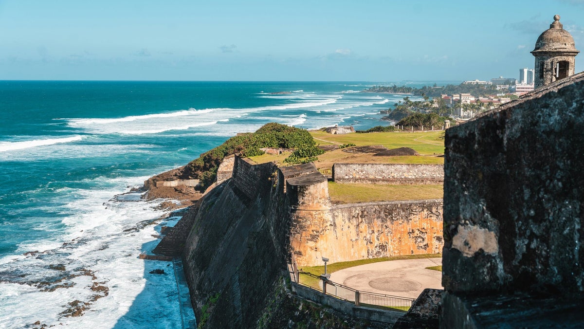 CATEGORIES | Mi Puerto Rico Imports