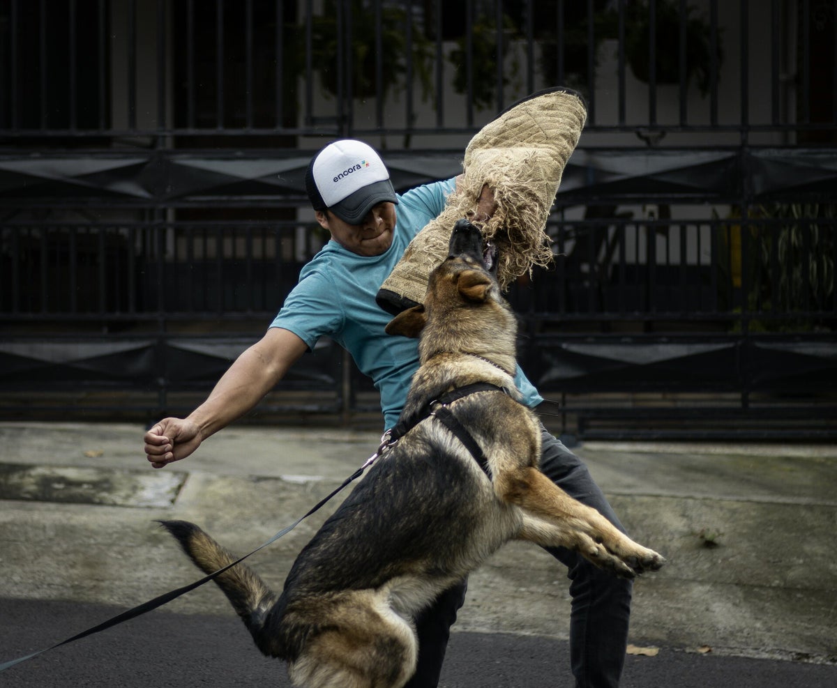 Animal Control Officers