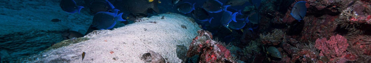 mine sous marine pic