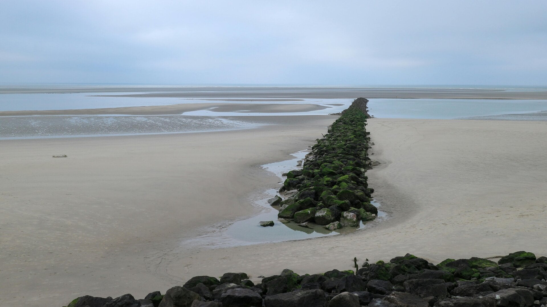Fotokurs Föhr, Husum, Büsum, Amrum, Fotowanderung, Fotowalk, Fotokurs Nordsee