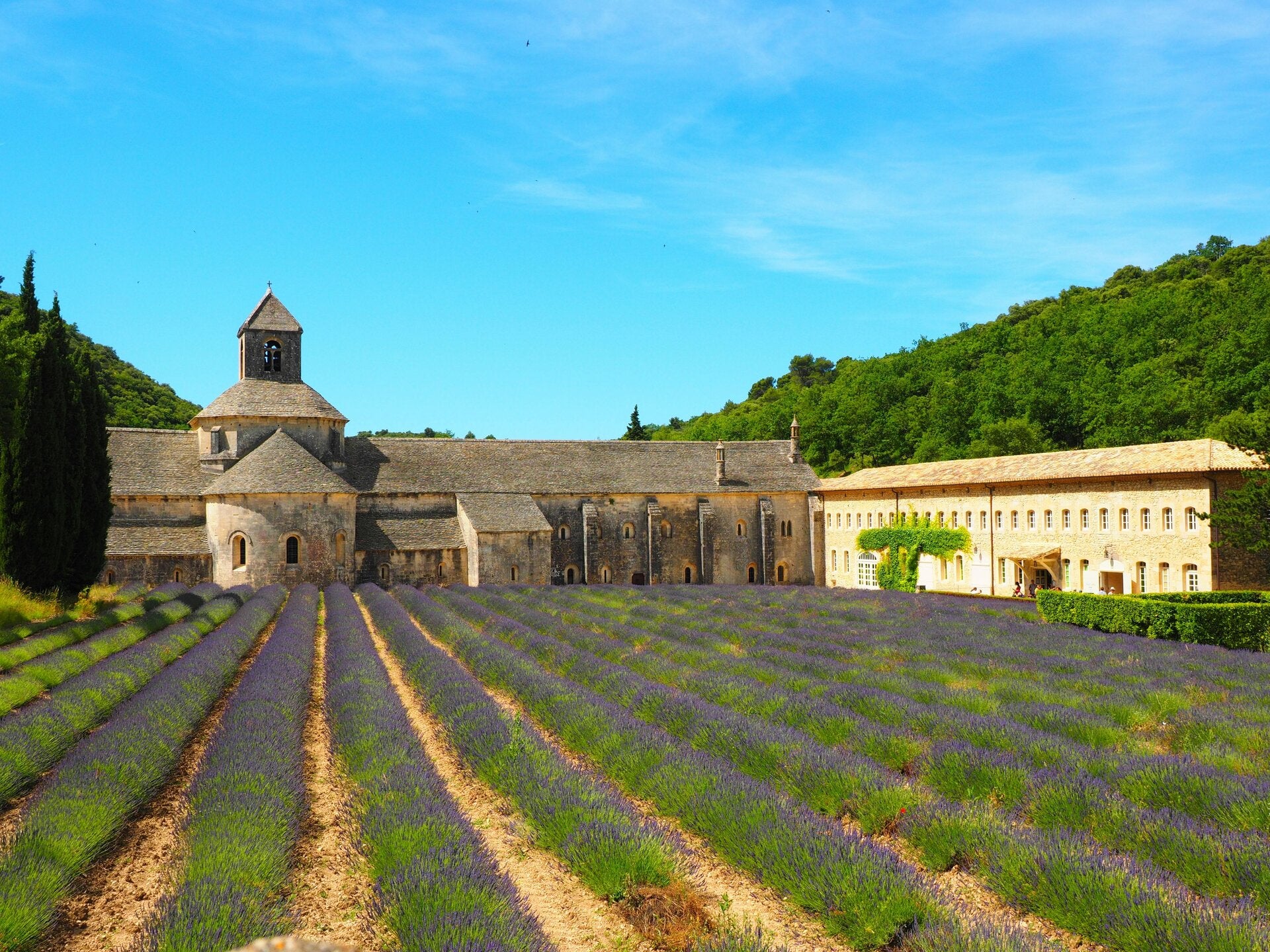 Abbaye de Sénanque