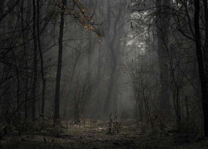 Das Muckenbruch bei Nacht, Niedermoor in Bad Westernkotten