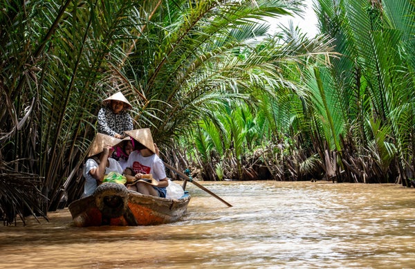 Barque glissant sur un canal bordé de palmiers d’eau dans le delta