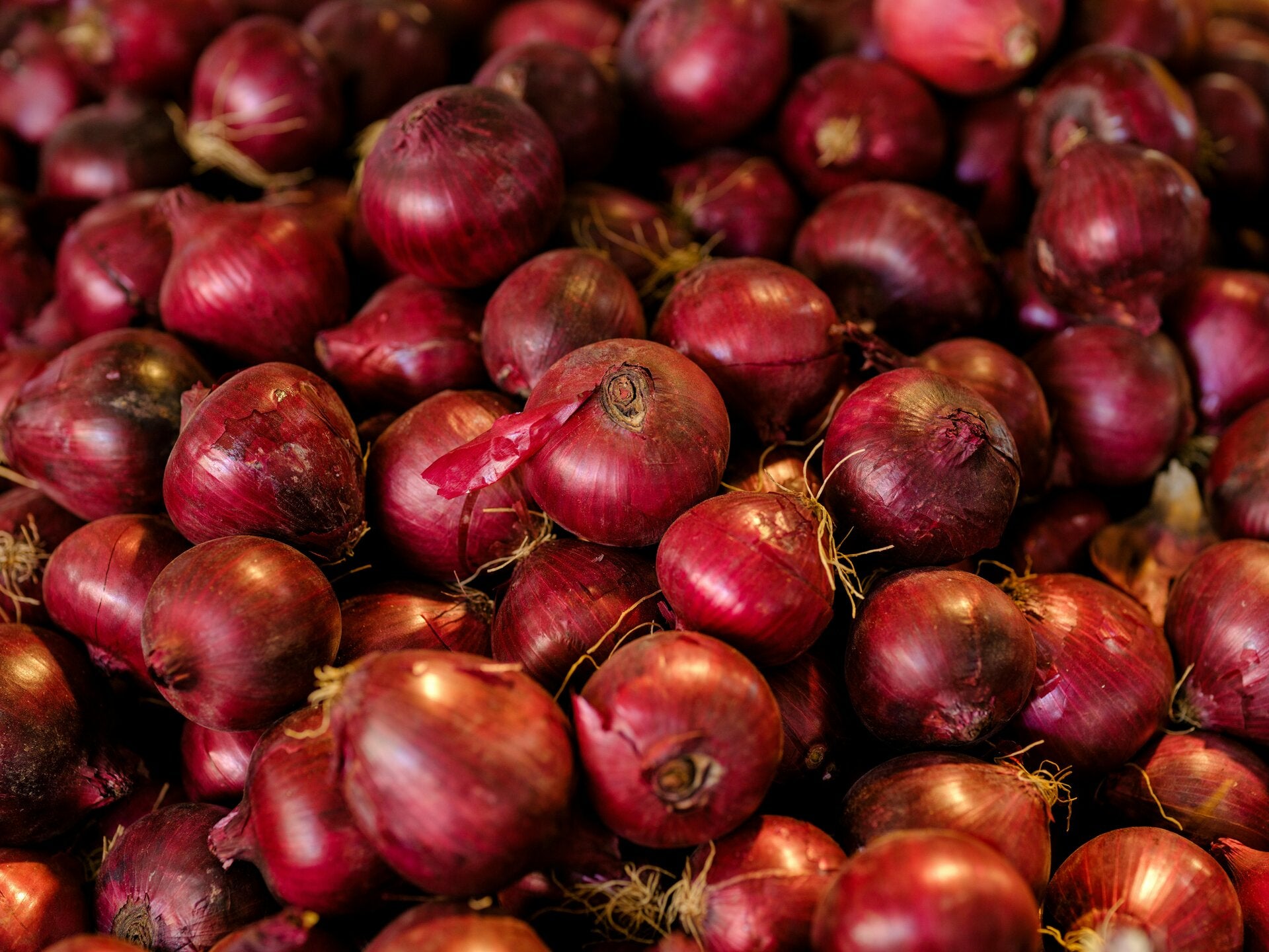 Red onions