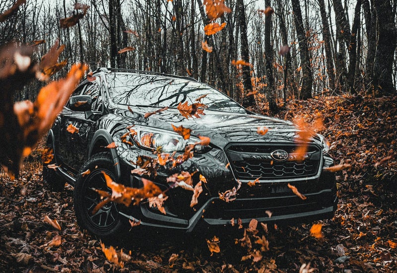 Ferienkurs Herbst