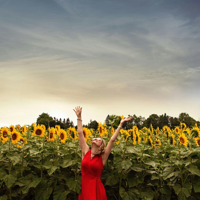 Foto Andrej Furtado blije vrouw zonnebloemveld Missnienox poëzie