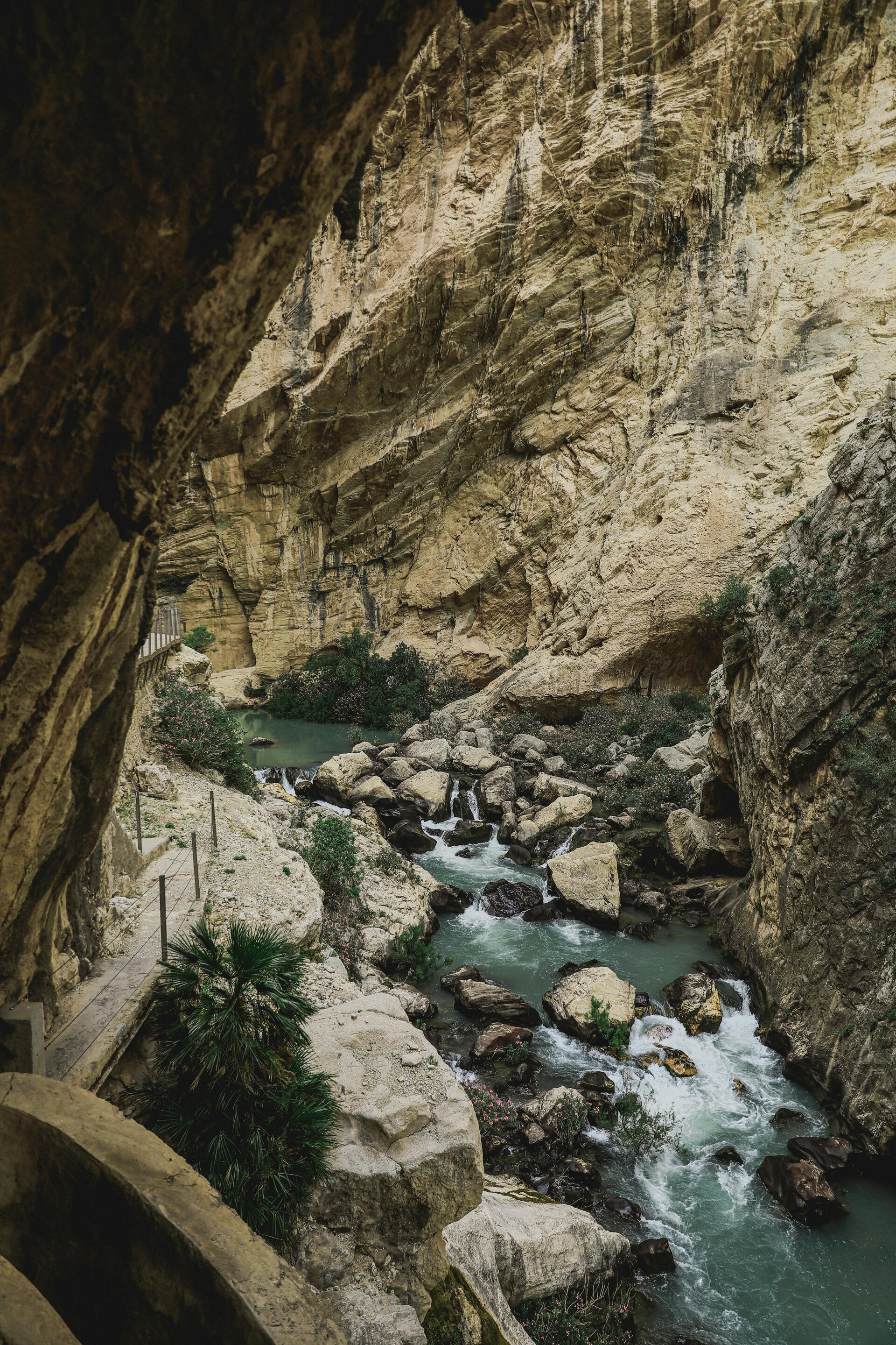 Ruta de los