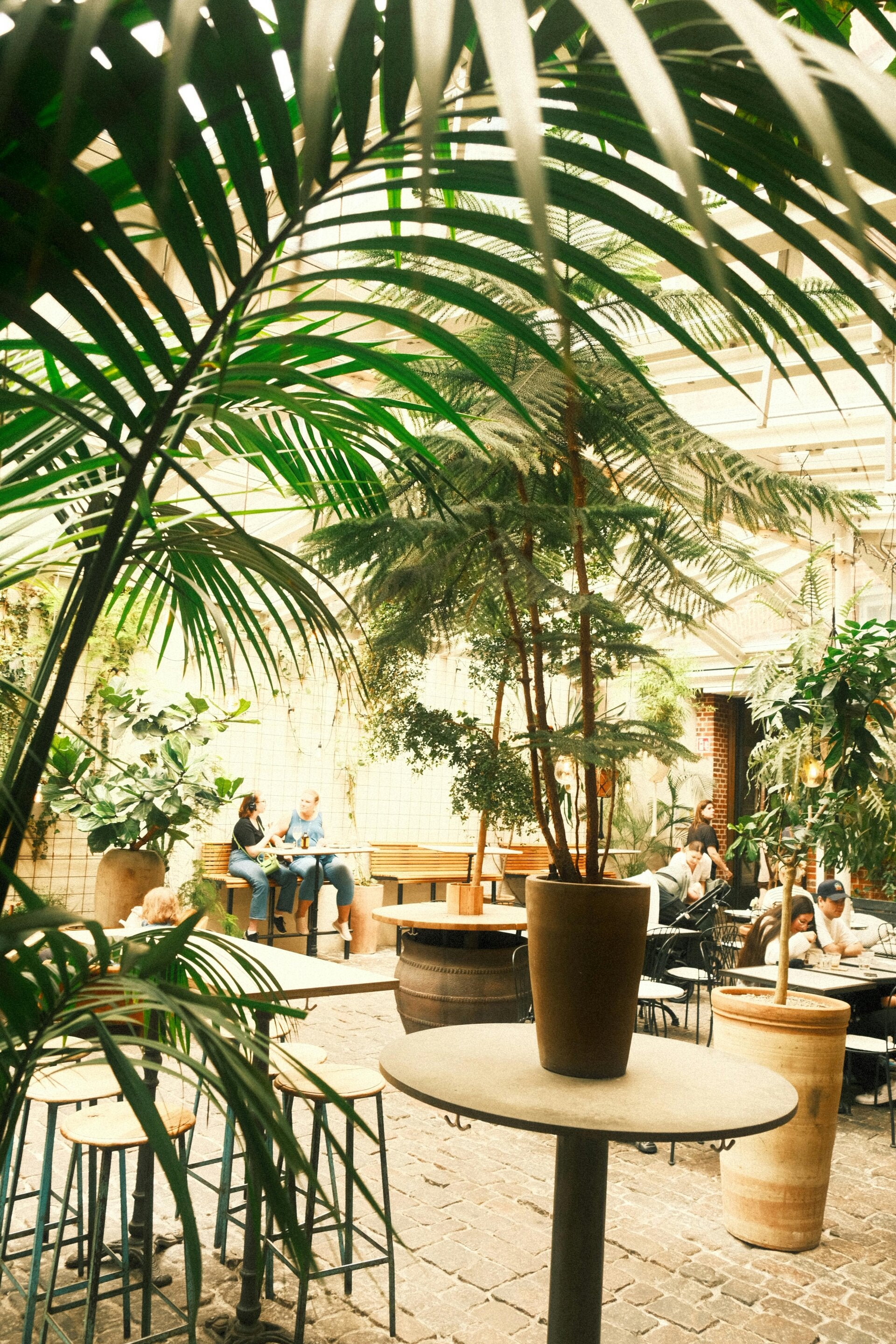 VA hemp regulations, va hemp ban, hemp virginia compliance