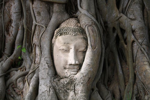 Tête de Bouddha prise dans les racines d’un arbre à Ayutthaya
