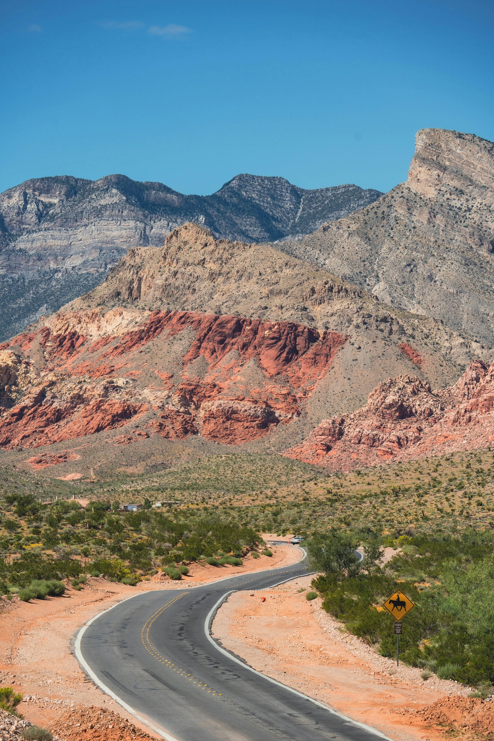Open desert road in Nevada stretching into the distance — symbolizing the personal journey and possibilities ahead through teletherapy for chronic health challenges and life transitions.
