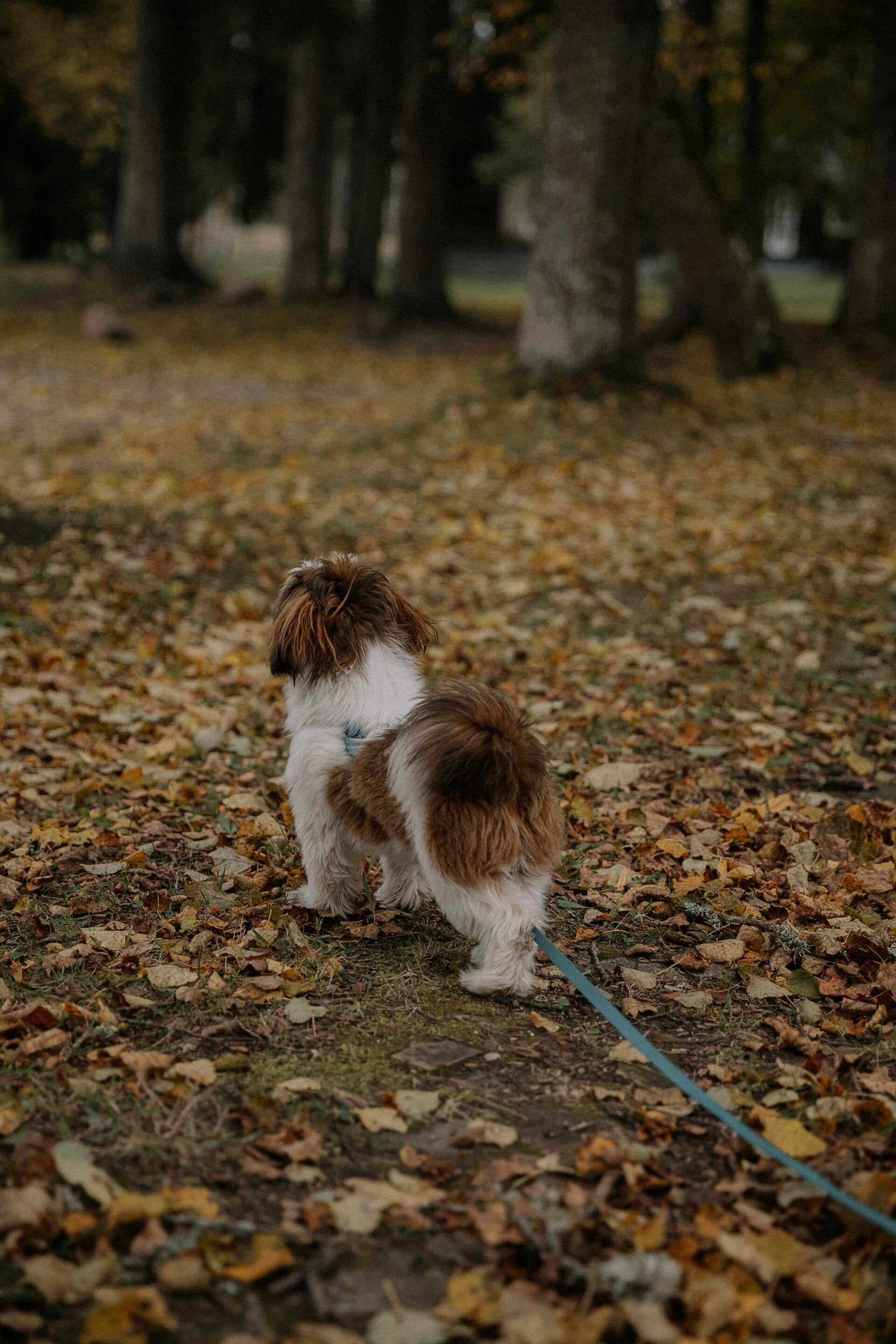 Snuffelwandeling tips