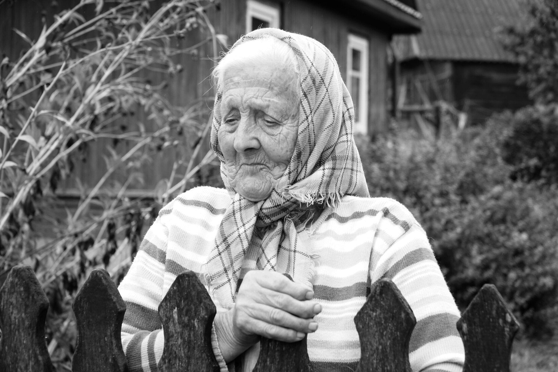 Historia de "la vieja del monte" de León, anciana que vivía en la montaña y enviaba comida a los niños en Navidad a través de los pastores que bajaban al pueblo.