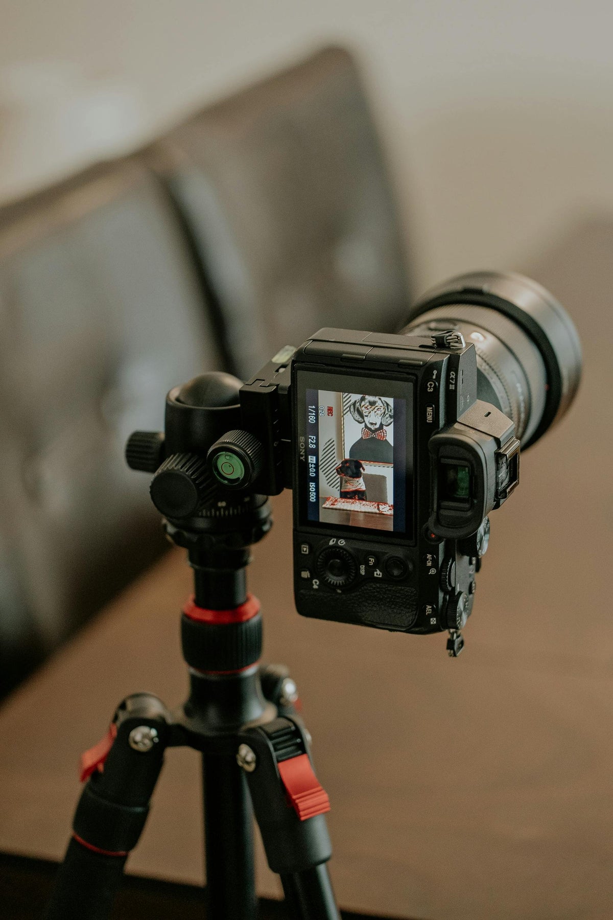 Our Services | Overhead Media