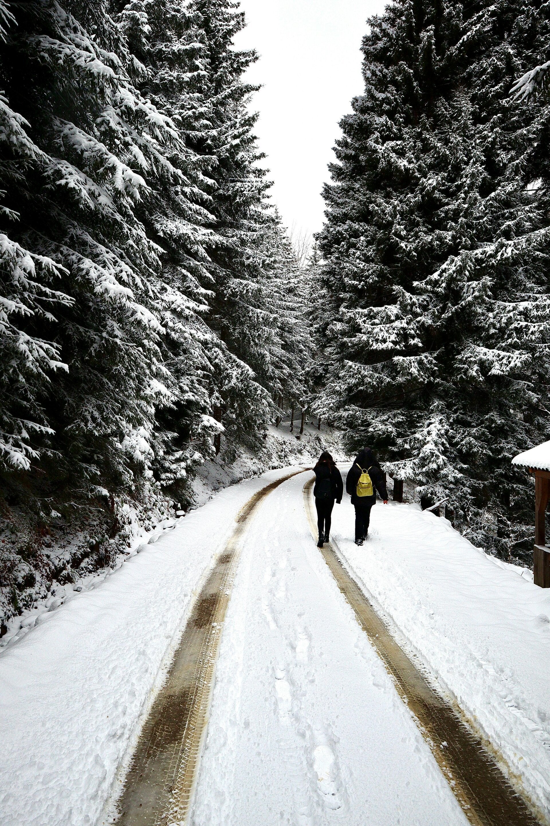 Rutas fáciles de senderismo en invierno