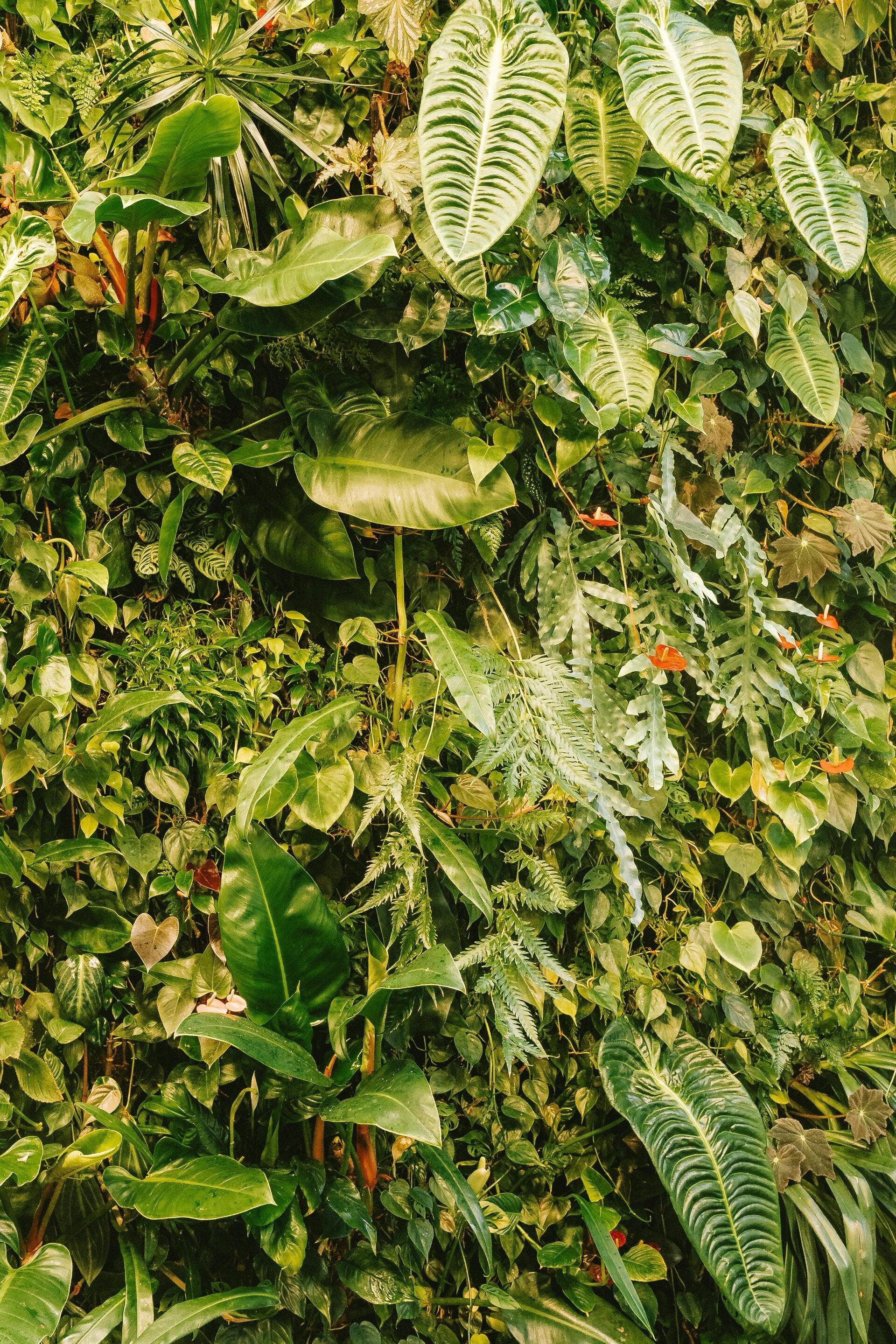 green living walls lndon