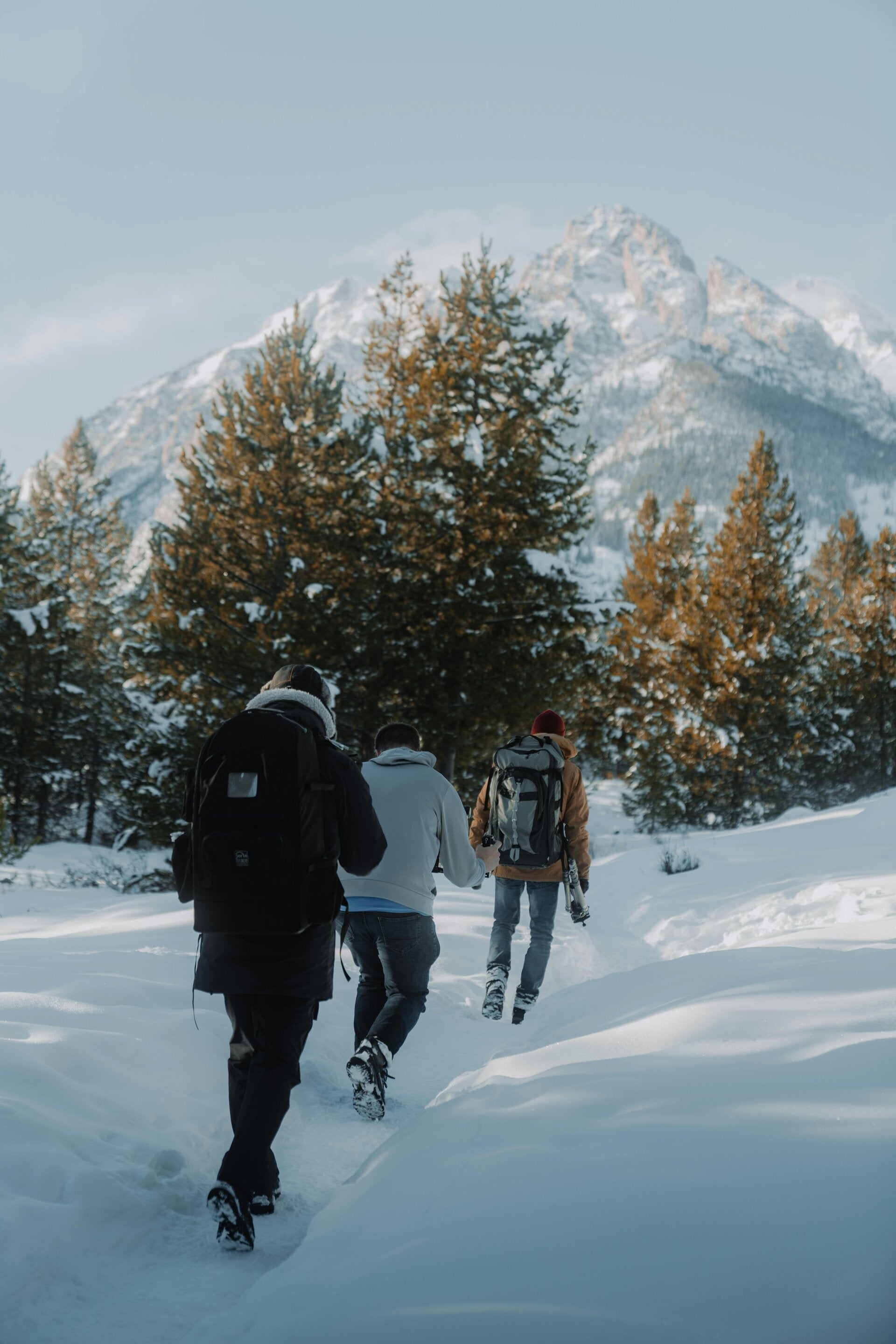 Material necesario raquetas de nieve