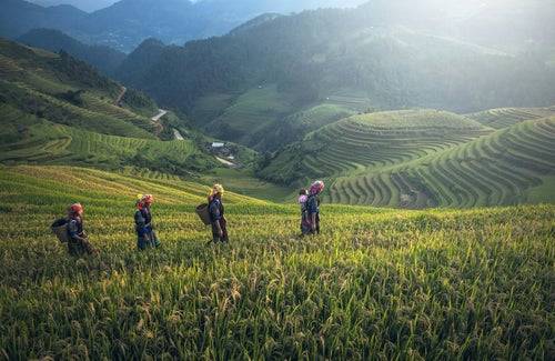 Village et rizières dans les montagnes du nord du Laos