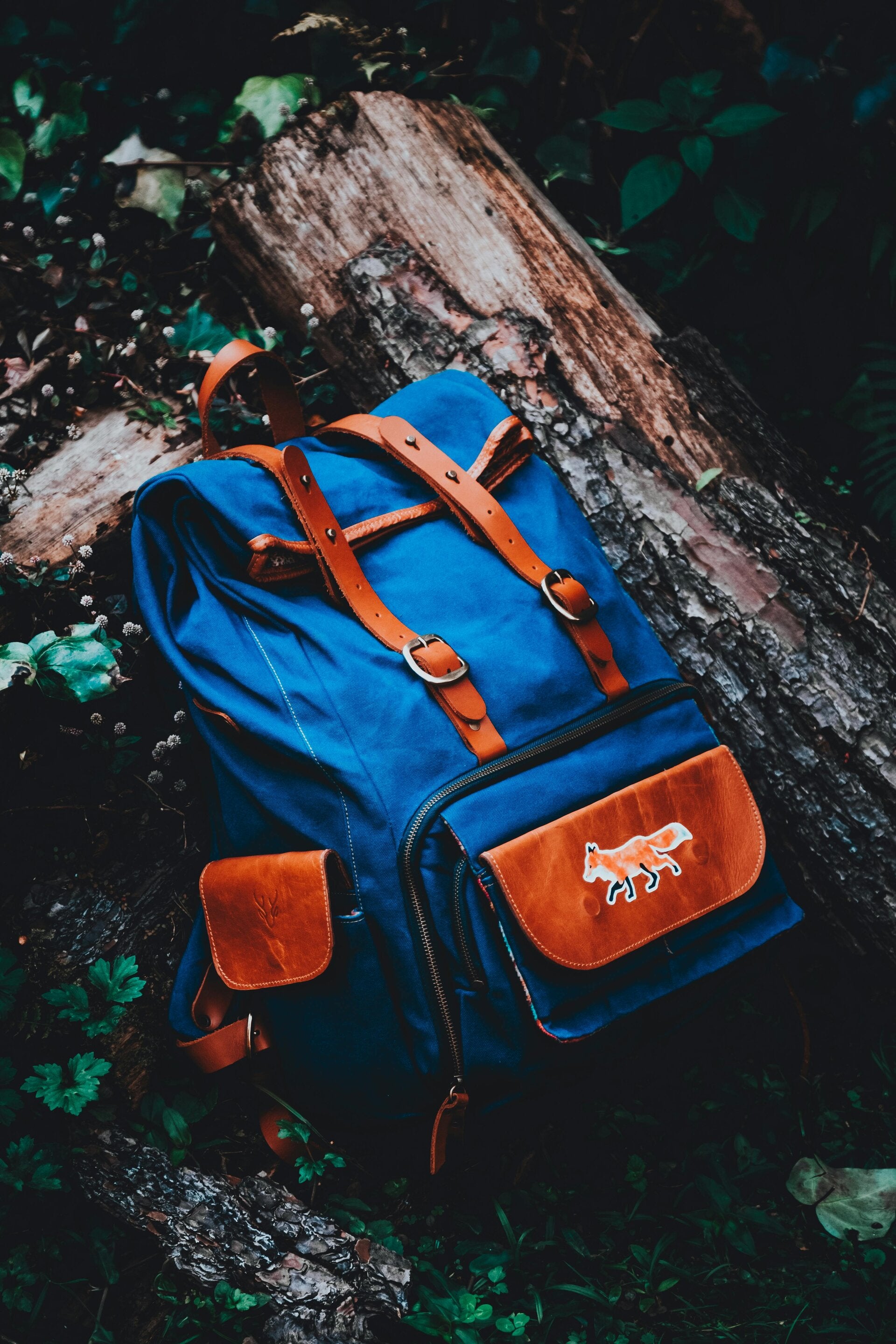 A packed lunch laid out on a picnic surface, used to remind off‑road tour guests to bring a small cooler and lunch for their Gleason Flat Salt River adventure.
