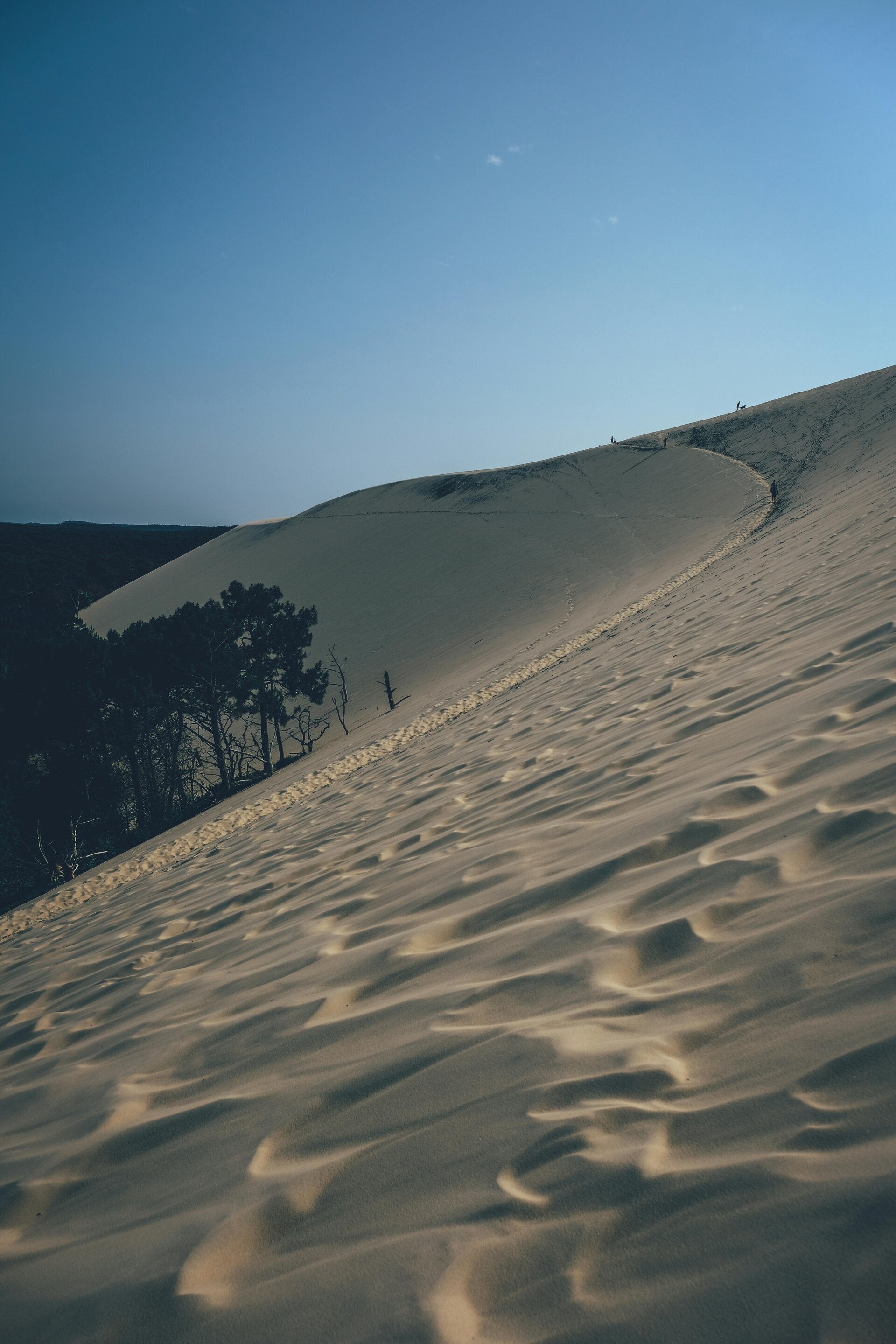 Vue aérienne de la Dune du Pilat sur le bassin d’Arcachon avec plage et océan Atlantique
