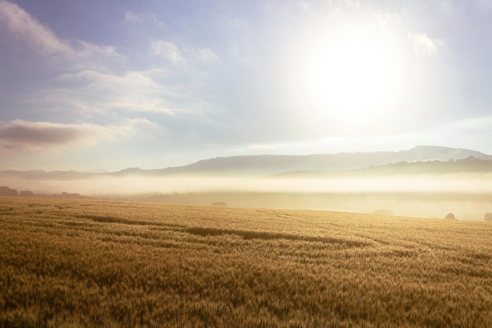 Warum immer mehr Frauen über eine Kinderwunschbehandlung im Ausland nachdenken