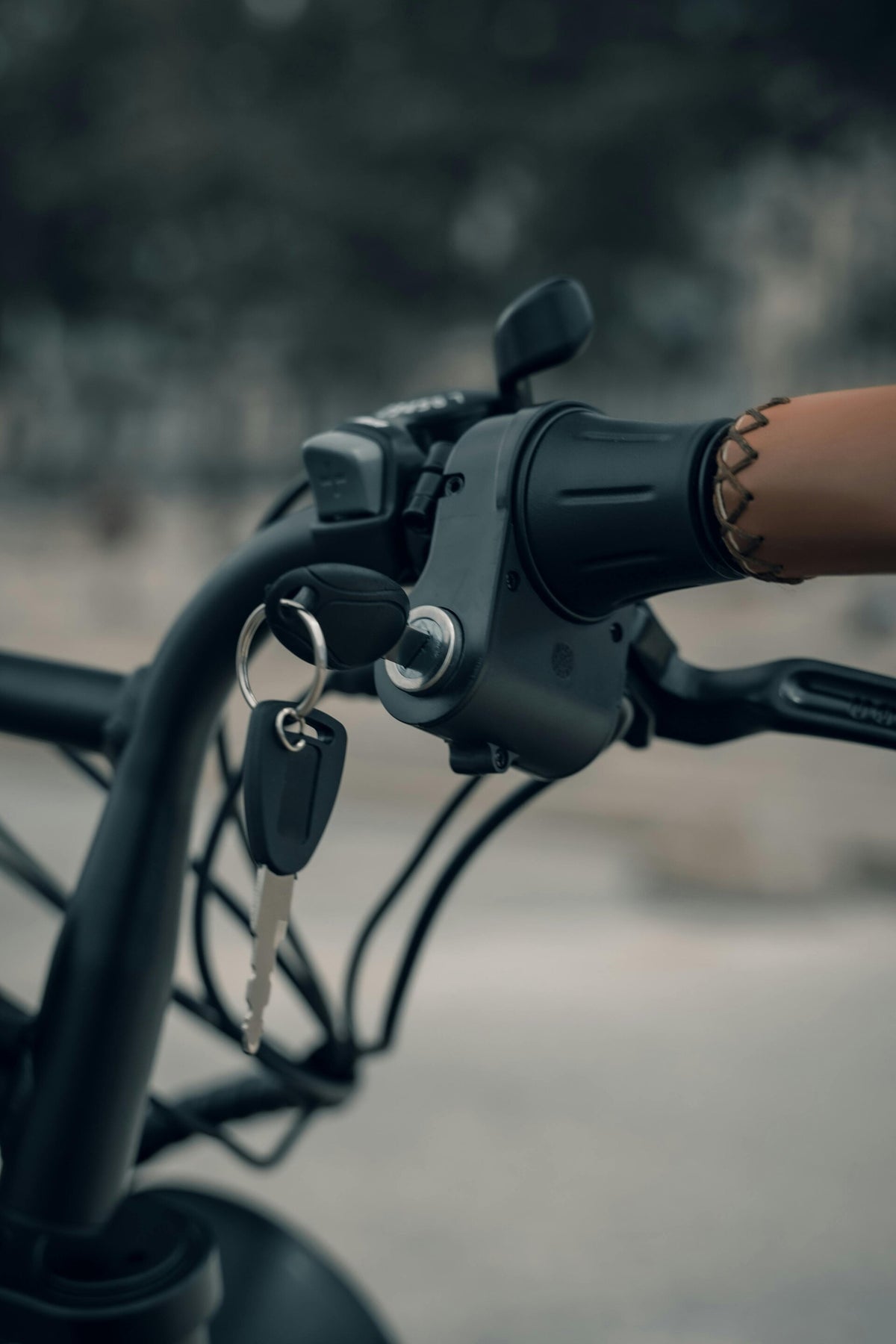 Hilleanos Hilleanos Ebike ER