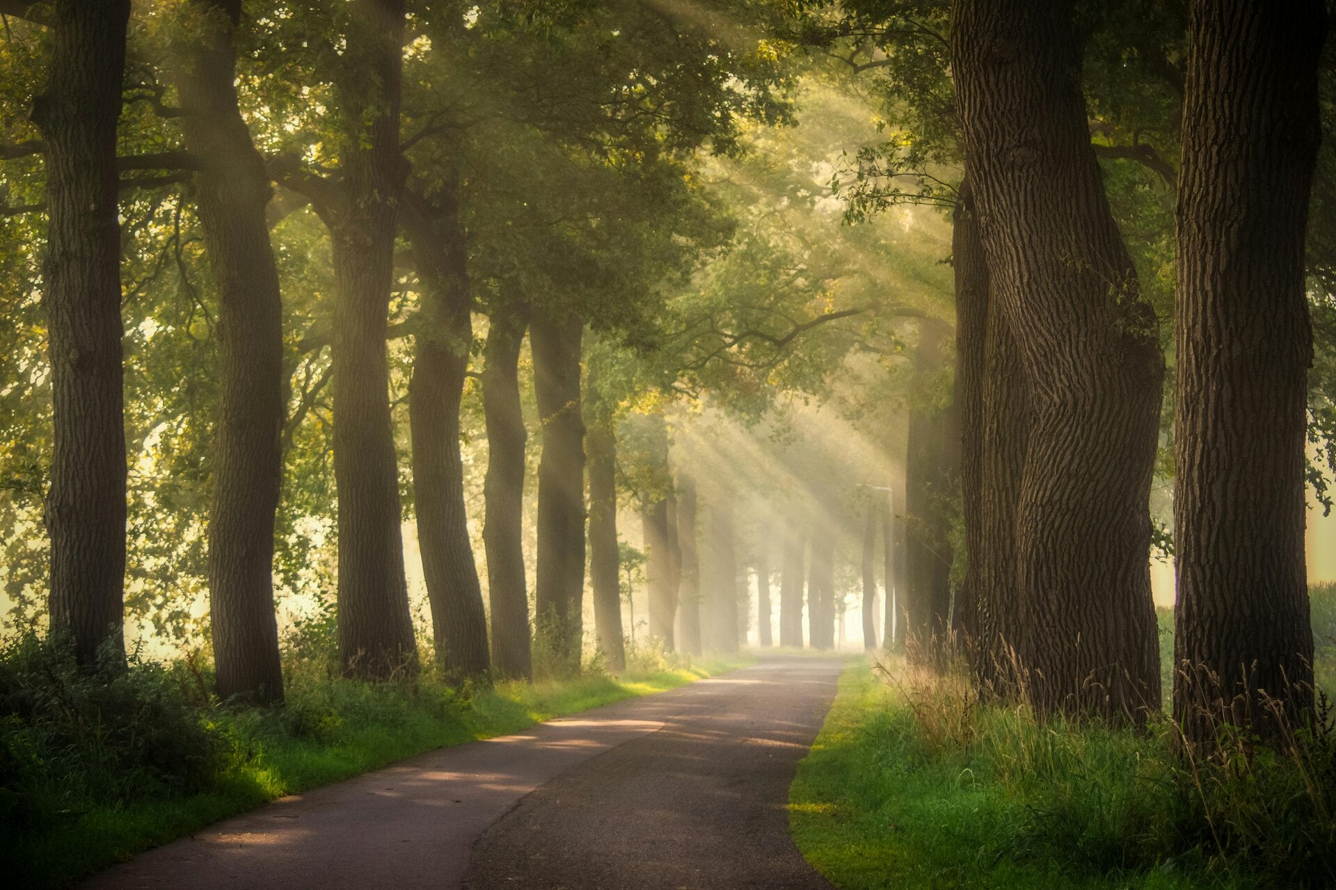 Administratie-zzp-bouw-techniek-doetinchem-hengelo-de-wending