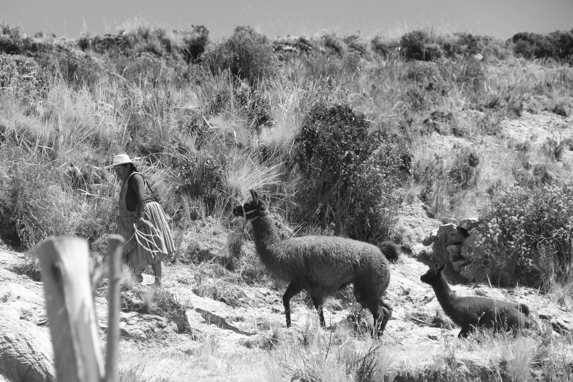 Bolivia: the perfect place to visit on holiday for golf, culture and cuisine