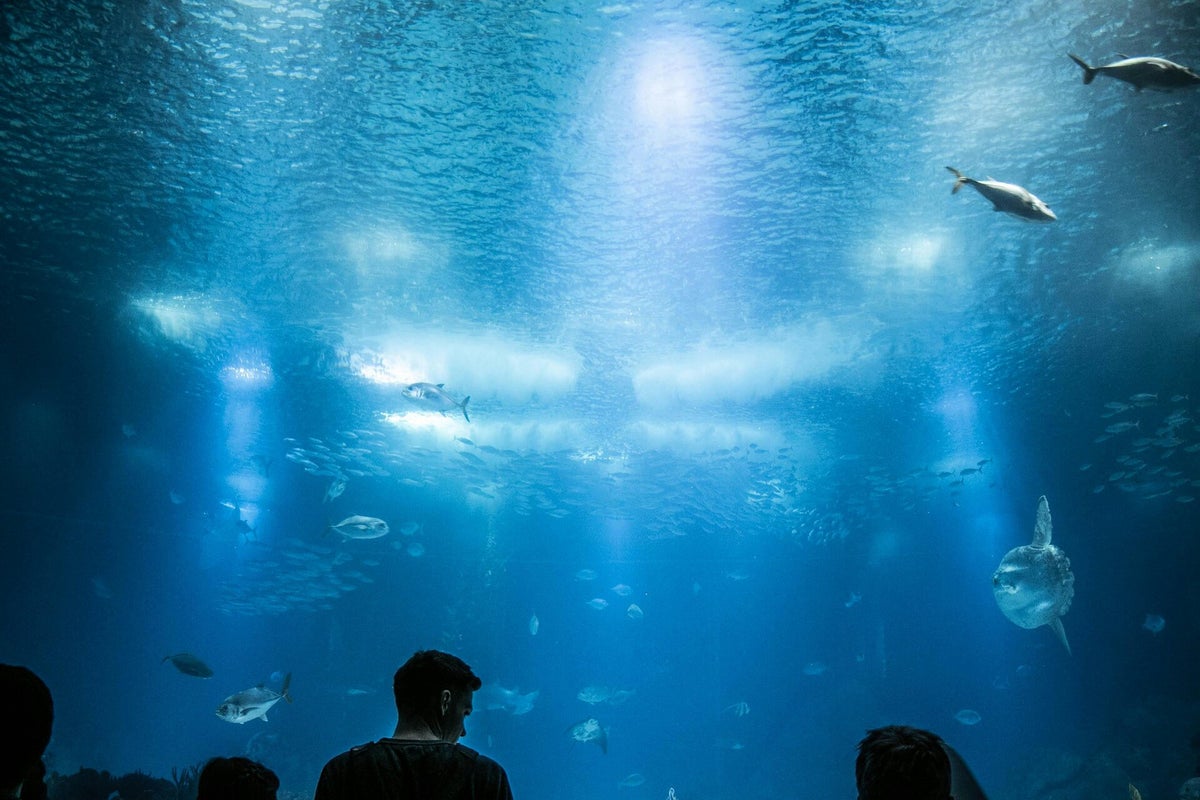 Aquarium