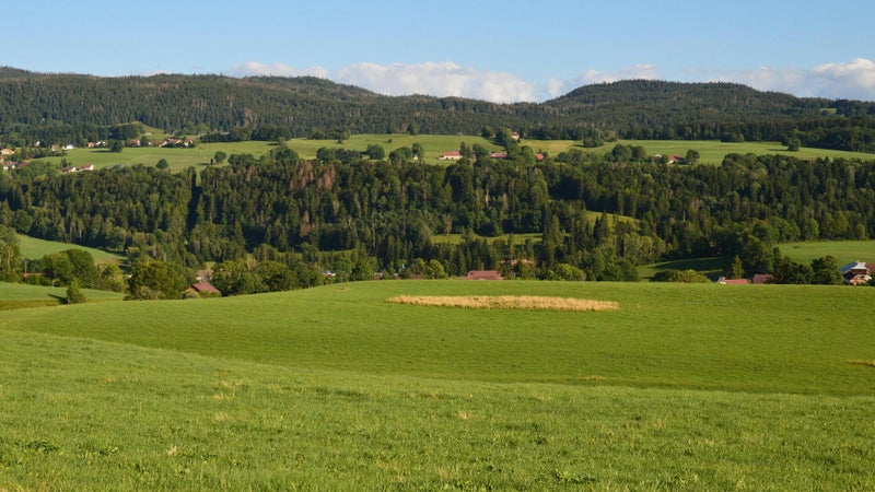 Eferdinger Hügelland, Bienenweide