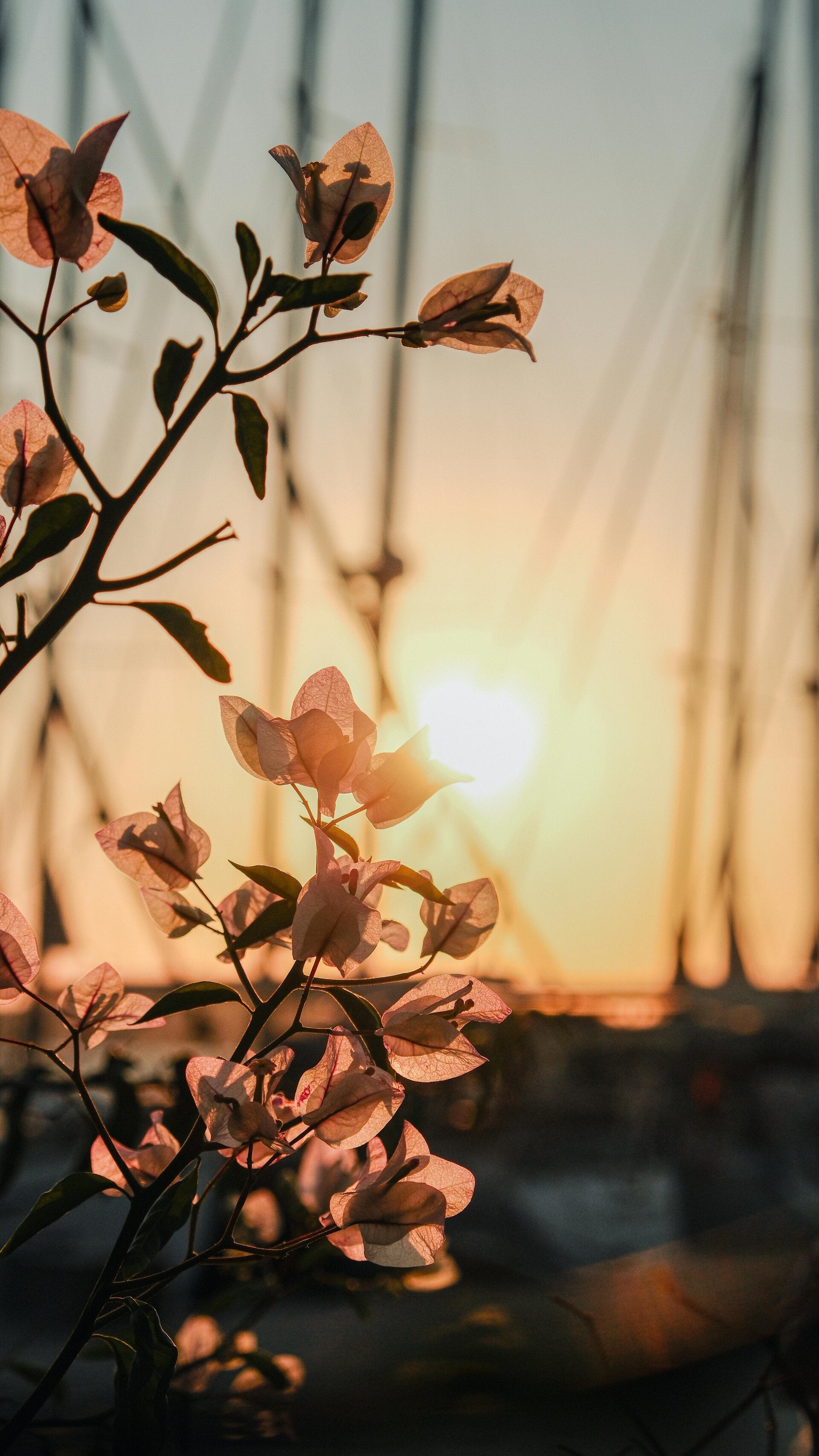 De Grenspraktijk coaching