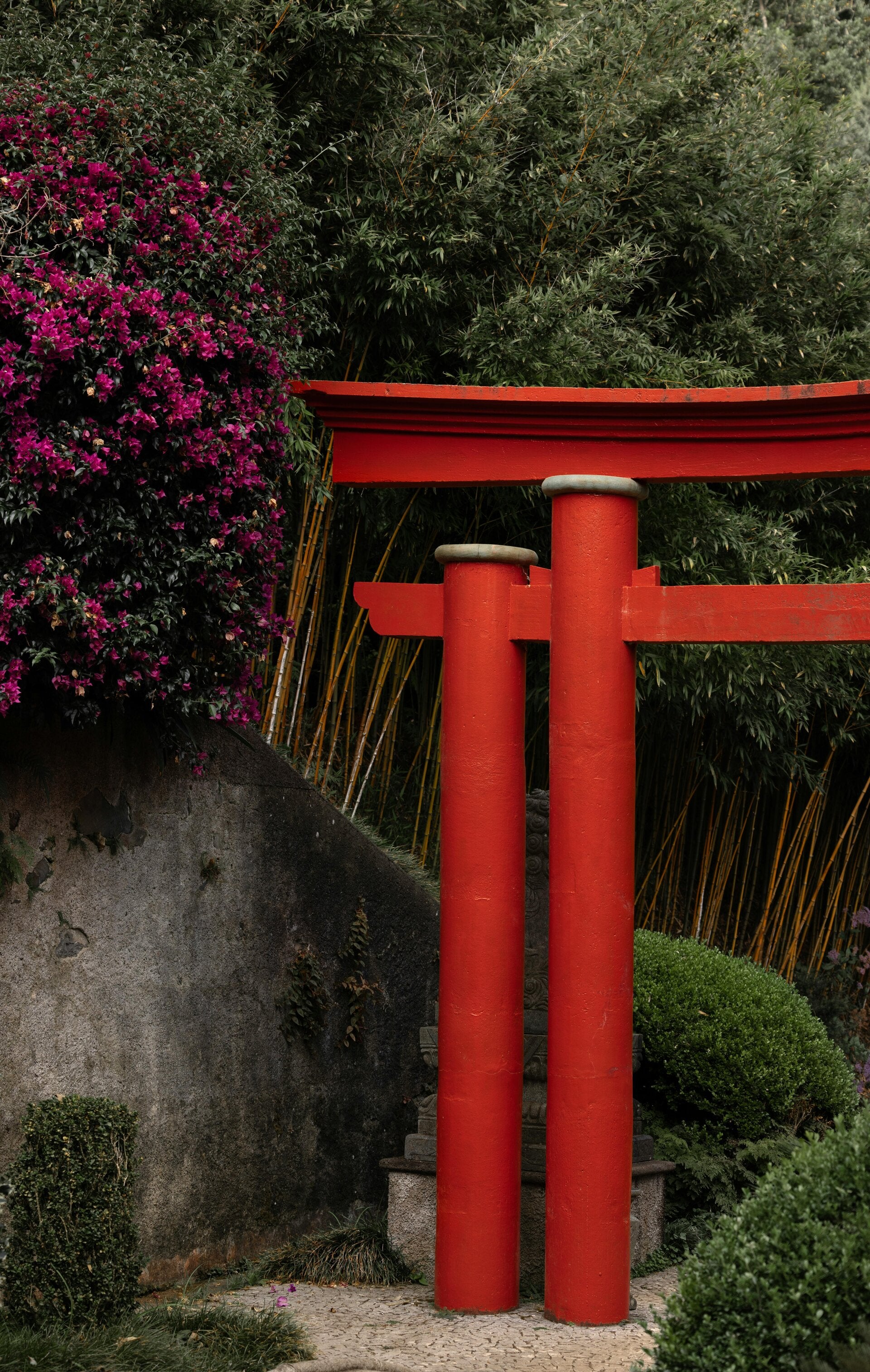 Reiki The Spirit Tree